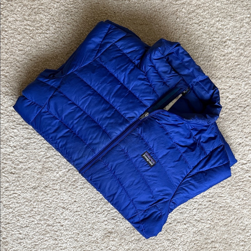 Patagonia Vibrant Blue Quilted Jacket